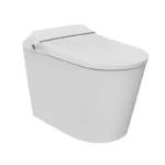 smart toilet